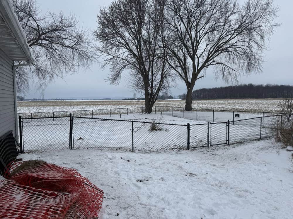 A snowy backyard with a black chain-link fence enclosing a small area, two leafless trees inside the enclosure, and open fields with more trees in the distance under a cloudy sky.